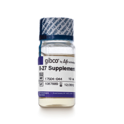 B27 Supplement (50X), serum free（17504-044）（B-27）
