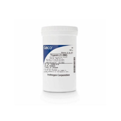 gibco 27250-018 胰蛋白酶 (1-250)粉末