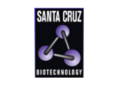 Santa Cruz Biotechnology抗体试剂