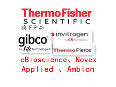 eBioscience流式抗体订购