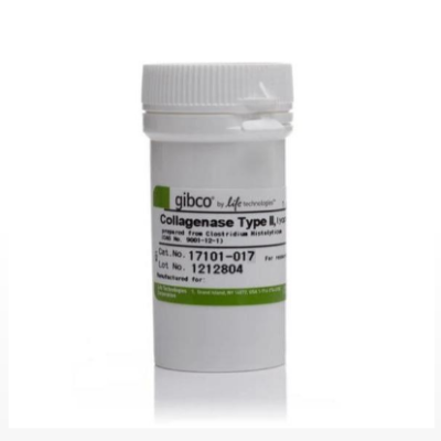 invitrogen  17100-017 胶原酶I型