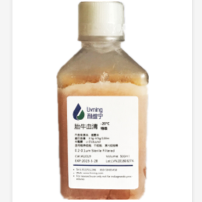 特级胎牛血清FBS（2450终端直购限一瓶）(适用于干细胞）