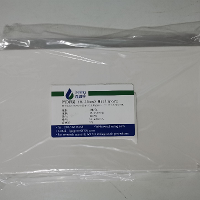 PVDF膜（0.45um）Millipore（单张13.25*15cm）