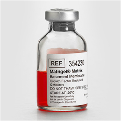 BD 354230 基质胶生长因子减少型基底膜基质胶，Matrigel GFR