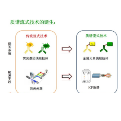 CyTOF质谱流式细胞技术服务