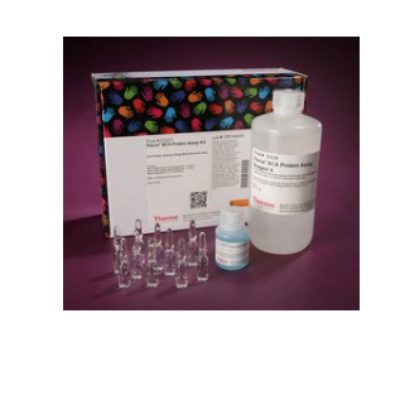 Pierce™ BCA 蛋白检测试剂盒 23225