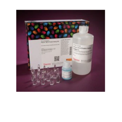 Pierce™ BCA 蛋白检测试剂盒（含小于10%牛血清白蛋白）