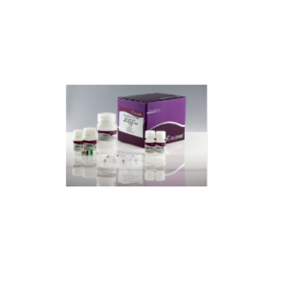 Tiangen 血液/细胞/组织基因组DNA提取试剂盒(DP304)