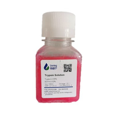 0.05%Trypsin-EDTA with phenol red （0.05%胰酶含酚红）
