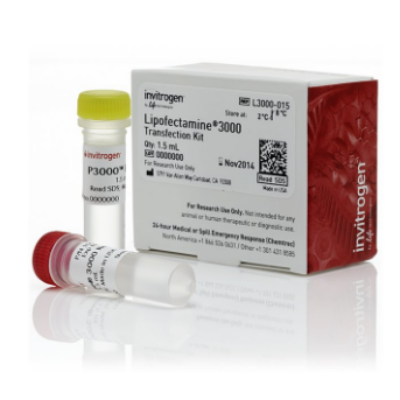 L3000-015 Lipofectamine 3000（lipo3000转染脂质体）