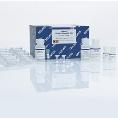 Qiagen 69504 血液/组织基因组DNA提取试剂盒