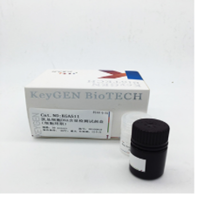 凯基 细胞周期检测试剂盒