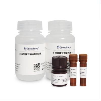 BL133A 细胞衰老β-半乳糖苷酶染色试剂盒