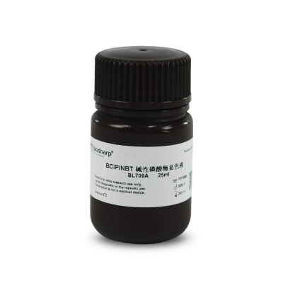 BL709A BCIP/NBT 碱性磷酸酶显色液（预混型）