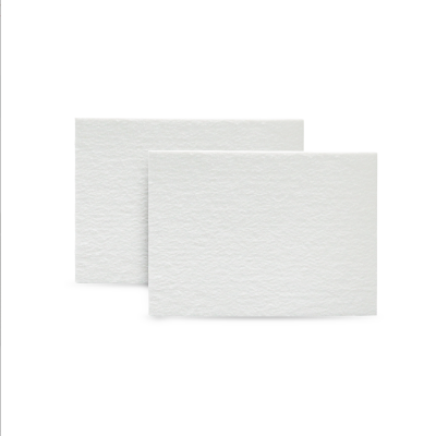 BS-TPL-03B 转印滤纸（7.5x8.4cm ）六一/Thermo，0.6mm