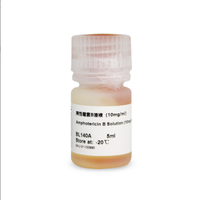 BL140A 两性霉素B溶液（10mg/ml）