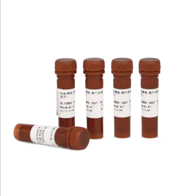 BL1055B Enhanced Cell Counting Kit-8 (增强型CCK-8试剂盒)