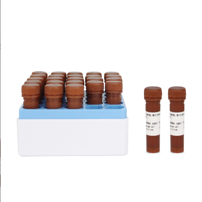BL1055D Enhanced Cell Counting Kit-8 (增强型CCK-8试剂盒)