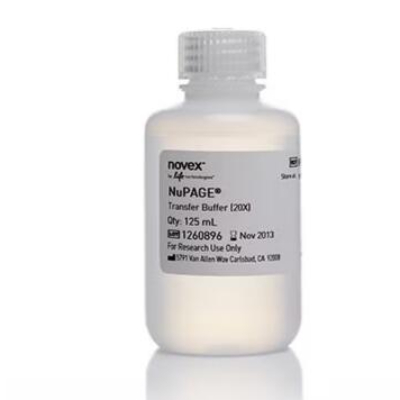 NuPAGE?转移缓冲液(20X)(125ml)，蛋白质转膜