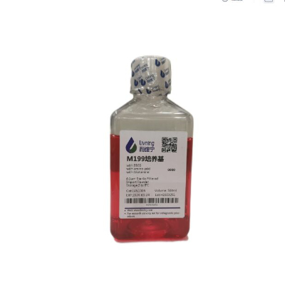 M199培养基 EBSS* 含L-谷氨酰胺