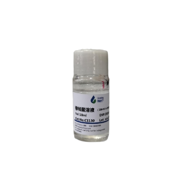 棕榈酸溶液（10mM in DMSO）