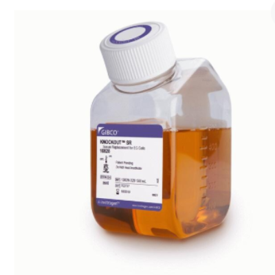 KnockOut™ 血清替代物